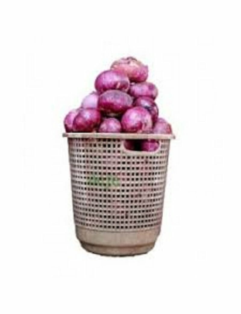 Onions–Full Basket