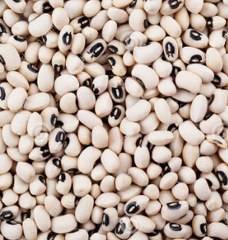 White Beans-5kg