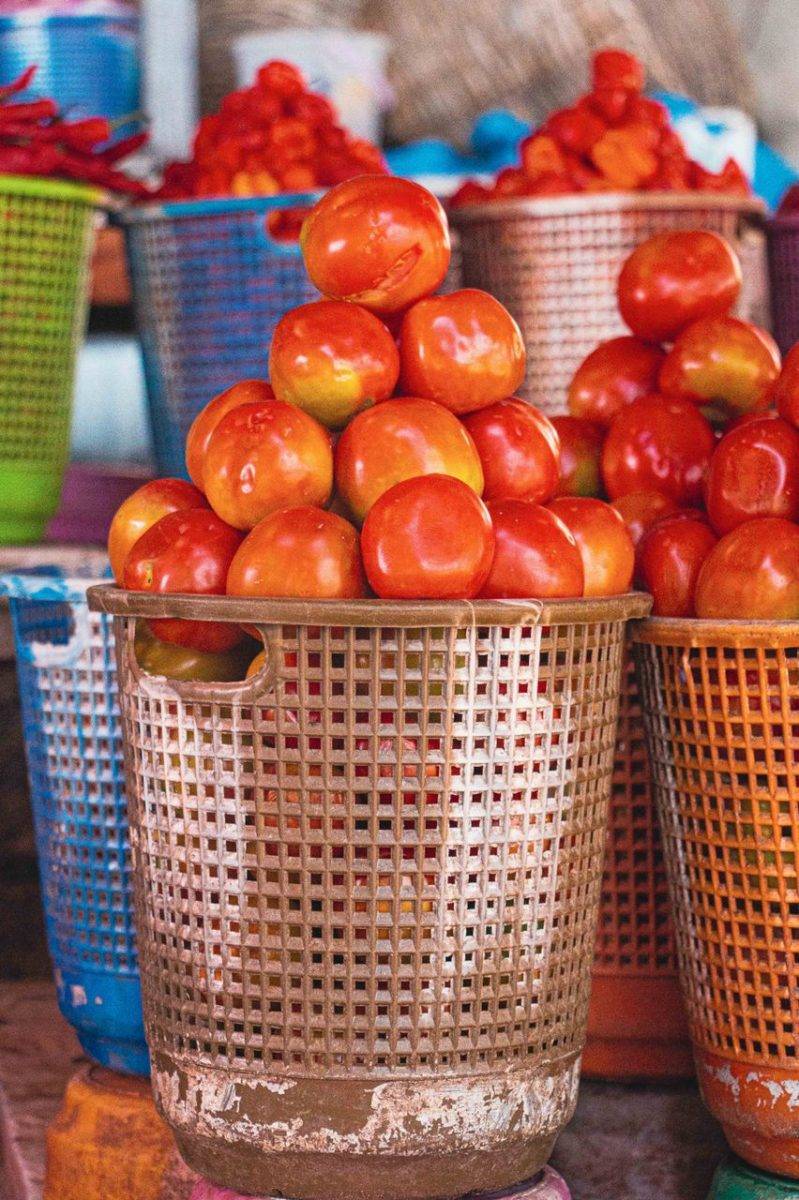 Fresh Tomatoes (Half Basket)