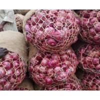 Onions–Full Bag 60kg