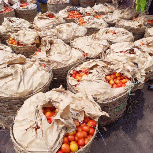Fresh tomatoes (Big Basket)