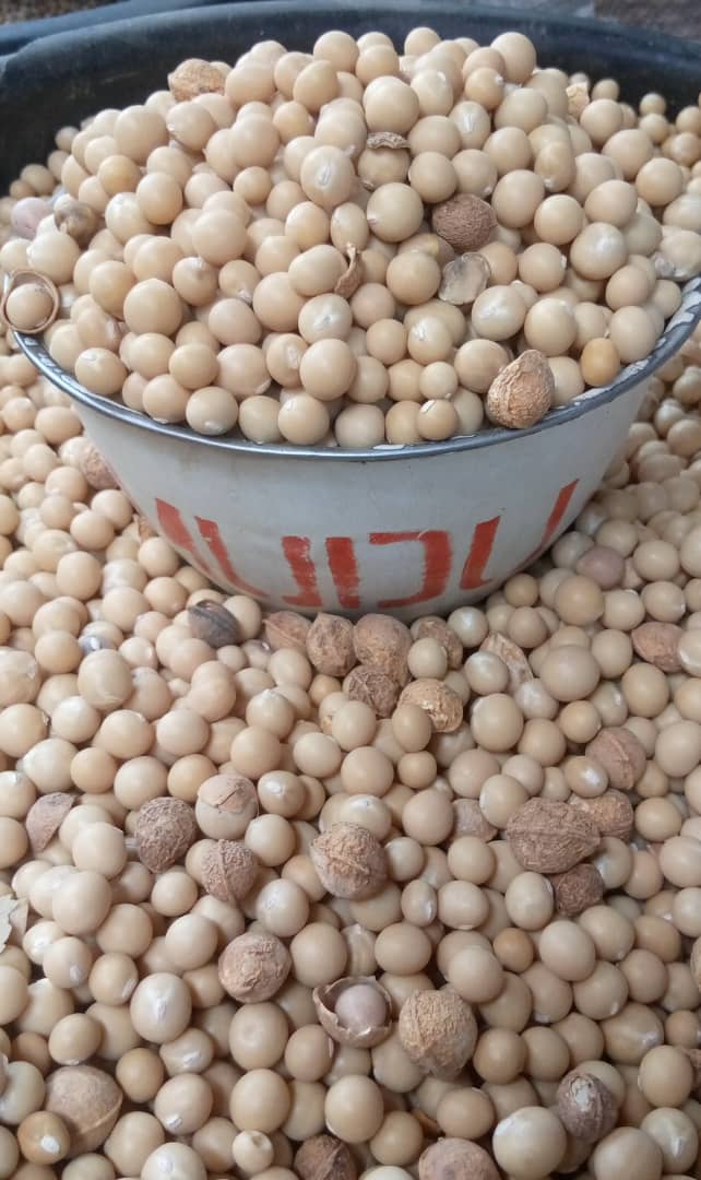 Dried Bambara nuts(Okpa) per mudu