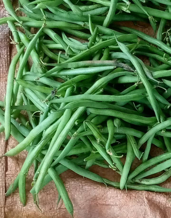 Green Beans (per portion)