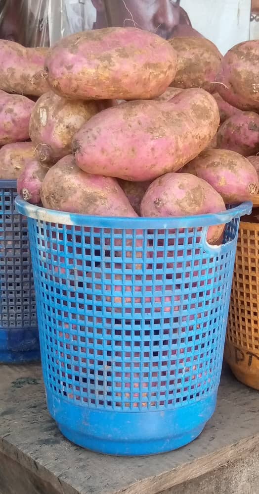 Red Sweet Potatoes (Full Basket)