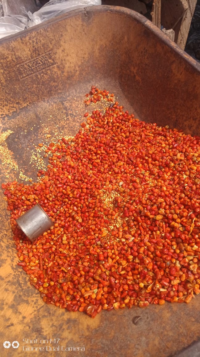 Dry pepper small seed (unblended) per mudu