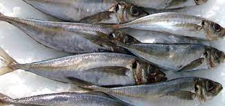 Kote fish per kg